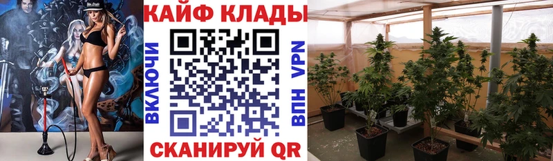 Купить закладку АМФЕТАМИН БУТИРАТ ГАШ КОКАИН Мефедрон Галлюциногенные грибы Гдов
