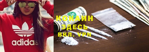 амф Дмитриев