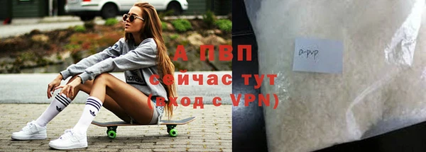 амф Дмитриев