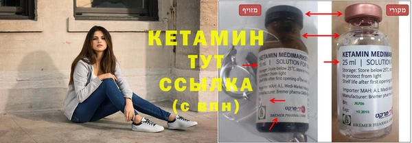 амф Дмитриев