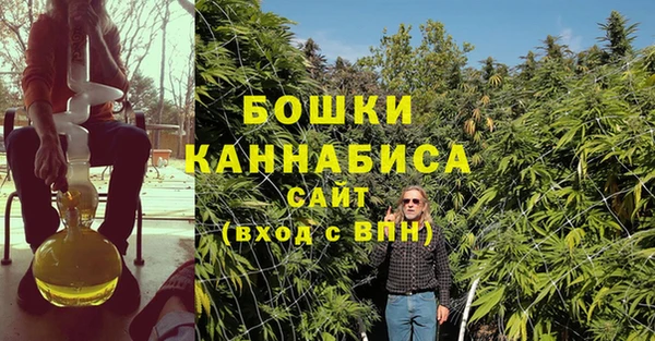 амф Дмитриев