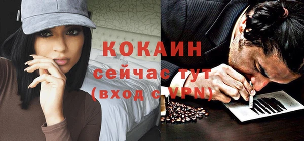 амф Дмитриев