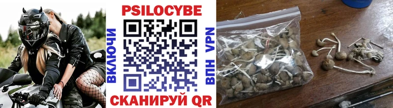 Галлюциногенные грибы Magic Shrooms  Купить закладки  Гдов 